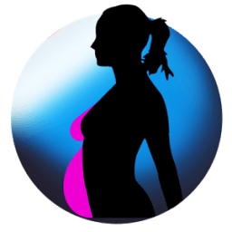 ikon دليل الحامل