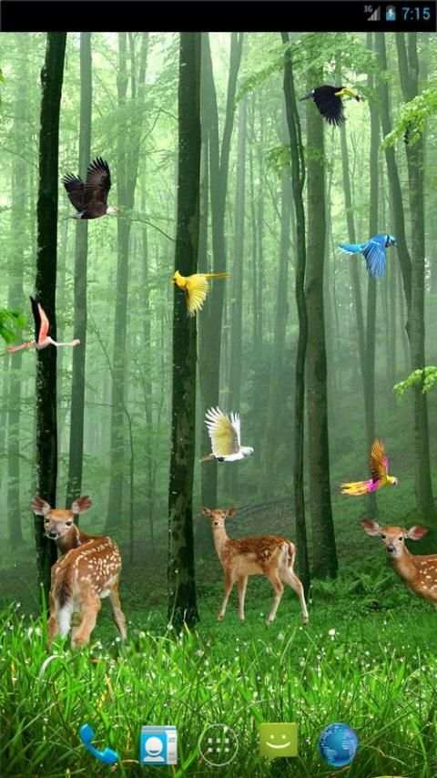 Rain Forest Live Wallpaper 7 تصوير الشاشة
