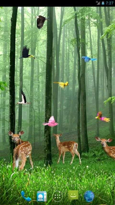 Rain Forest Live Wallpaper स्क्रीनशॉट 6