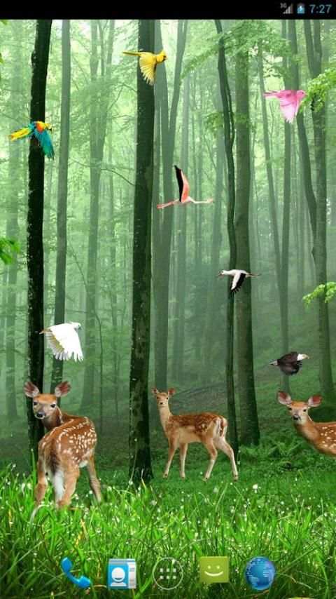 Rain Forest Live Wallpaper 5 تصوير الشاشة
