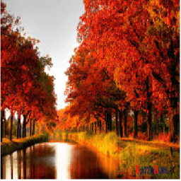 Wallpaper new 2017 иконка