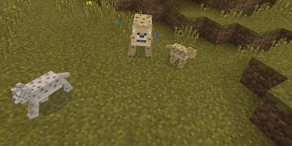 Animals for Minecraftt PE screenshot 4