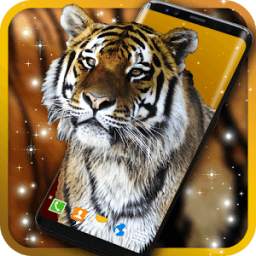 Tiger HD Live Wallpapers Free
