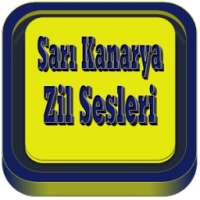 Sarı Kanarya Marş Zil Sesleri on 9Apps