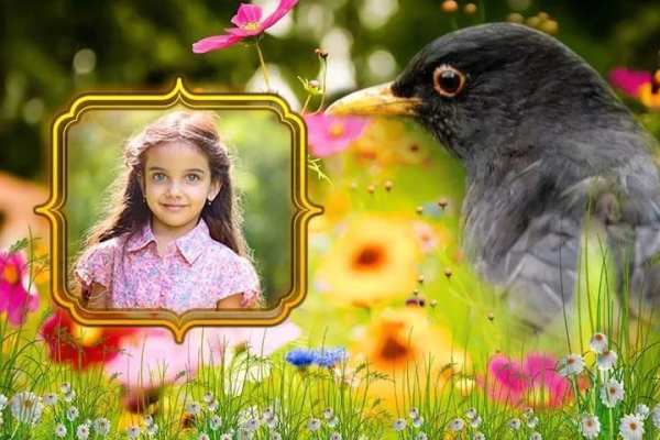 Birds Photo Frames स्क्रीनशॉट 3