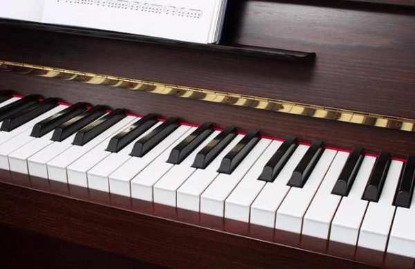 Organ Music Keyboard screenshot 4