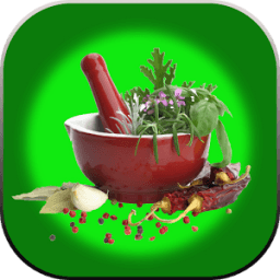 ikon Ayurvedic Gharelu &amp; Daily Life Tips in Hindi