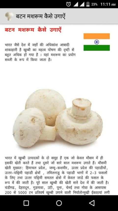 बटन मशरूम कैसे उगाऐं 4 تصوير الشاشة