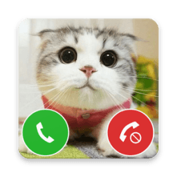 Little Cat Fake Call иконка