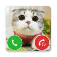 Little Cat Fake Call