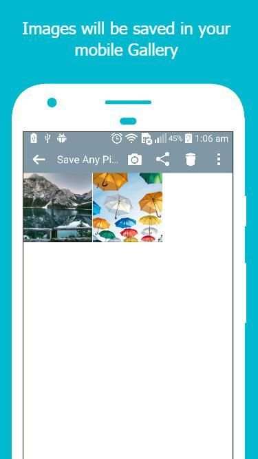 Save Any Picture скриншот 1