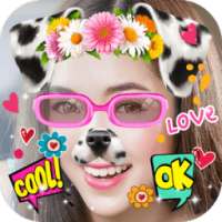 Cute Cat Face Sticker Photos on 9Apps