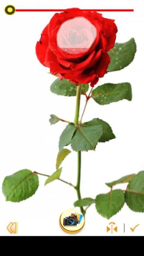 Photo Editor - Rose Photo स्क्रीनशॉट 5