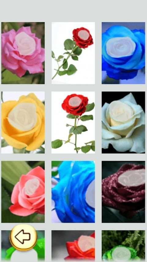 Photo Editor - Rose Photo स्क्रीनशॉट 6