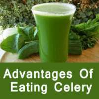 Advantages of Eating Celery - अजवाइन के फायदे