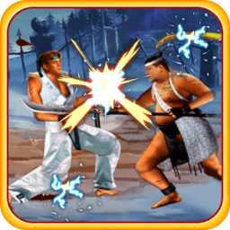 Shadow Kung Fu иконка