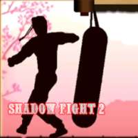 Guide for Shadow Fight 2