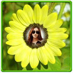 Sunflower Photo Frames