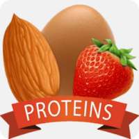 High Protein Diet (Foods Sources)