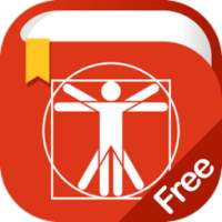 * Анатомия человека словарь