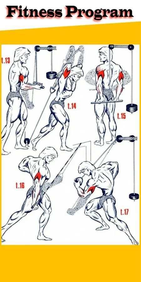 home workout program && fitness program screenshot 4