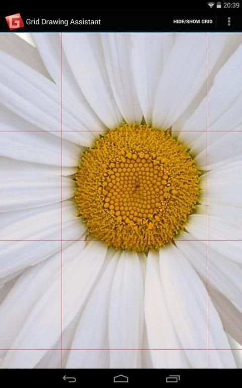 Grid Drawing Assistant screenshot 3