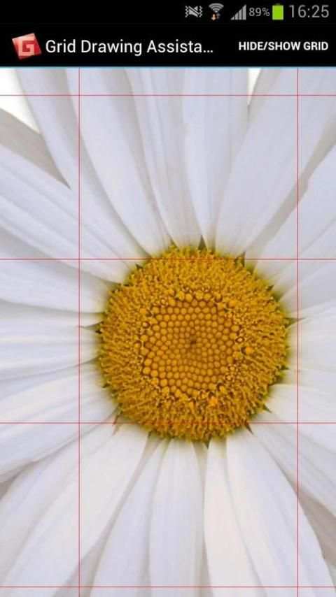 Grid Drawing Assistant screenshot 11