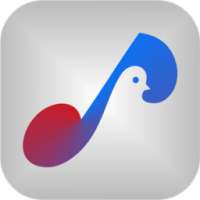 ARIJIT SINGH - Tum Hi Ho on 9Apps