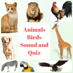 ikon Animal and Bird Sound for Kids