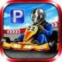 3D Kart Rally icon
