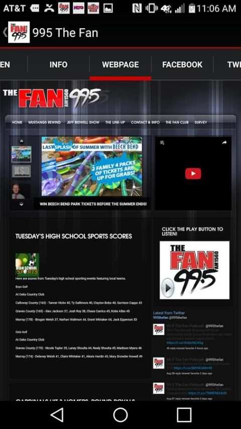 995 The Fan screenshot 2