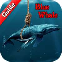 Guide for Blue Whale Suicide Game