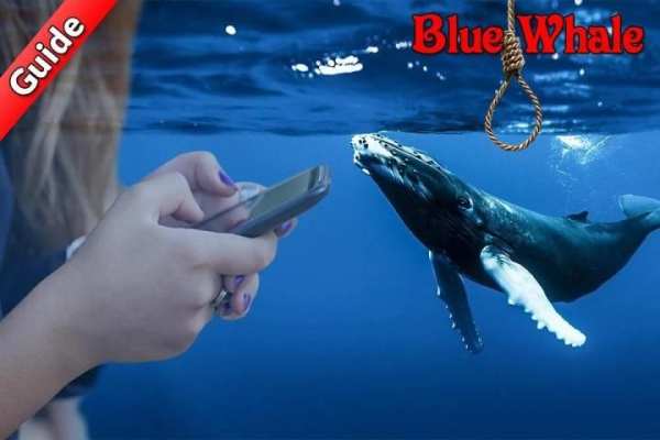 Guide for Blue Whale Suicide Game 3 تصوير الشاشة