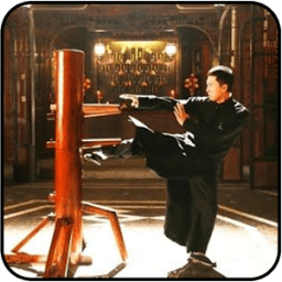 Video Teknik Wing Chun Lengkap icon