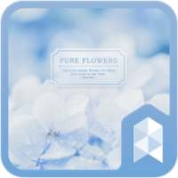 Hydrangea Launcher theme on 9Apps