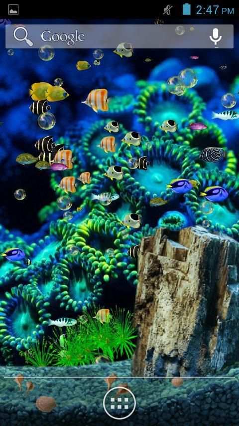 Aquarium Live Wallpaper स्क्रीनशॉट 5