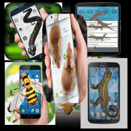 Mouse on screen phone أيقونة