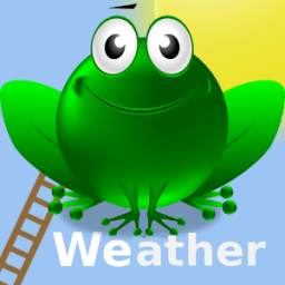 Weather Frog ❤