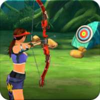 Archery Target Tournament