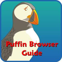 Tips Puffin Browser 1.0.0