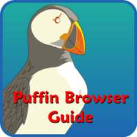 New Puffin Web Browser 2k17 Advice