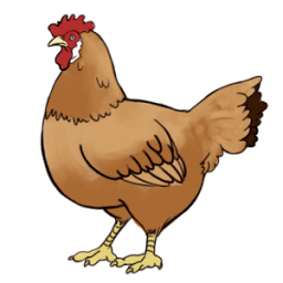 How to Draw a Chicken आइकन