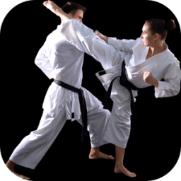 Karate Training - Karate Classes иконка