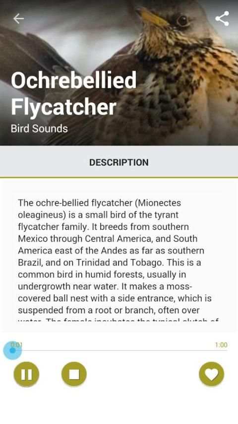 Birds Sound Pro скриншот 2