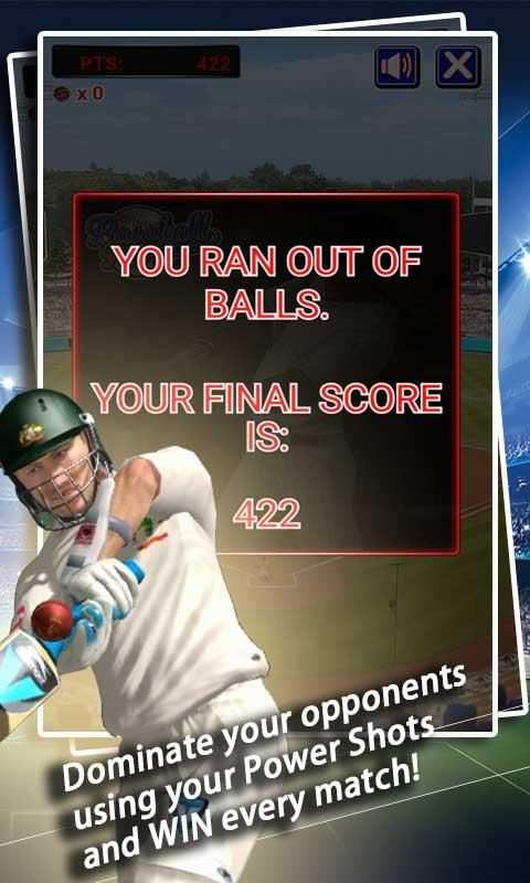 Crazy Cricket screenshot 3