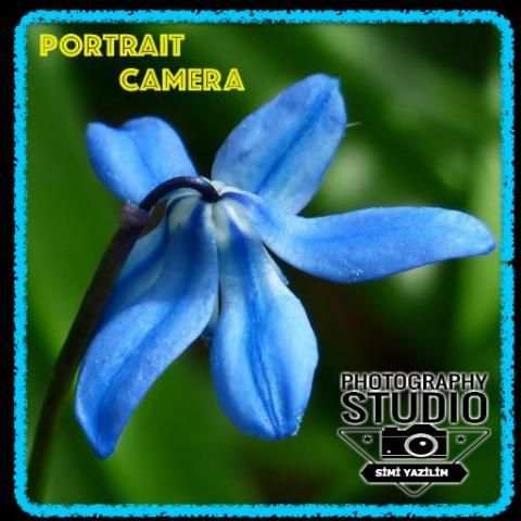Portre Kamera (PRO) Ücretsiz 1 تصوير الشاشة