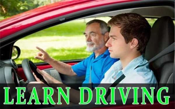 Learn Driving 2017 скриншот 4