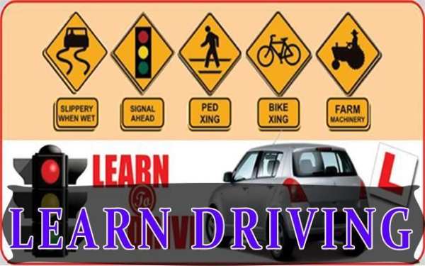 Learn Driving 2017 скриншот 1