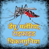 डेंगू, मलेरिया, टाइफाइड और चिकनगुनिया-घरेलू नुस्खे