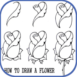 ikon How to draw a rose